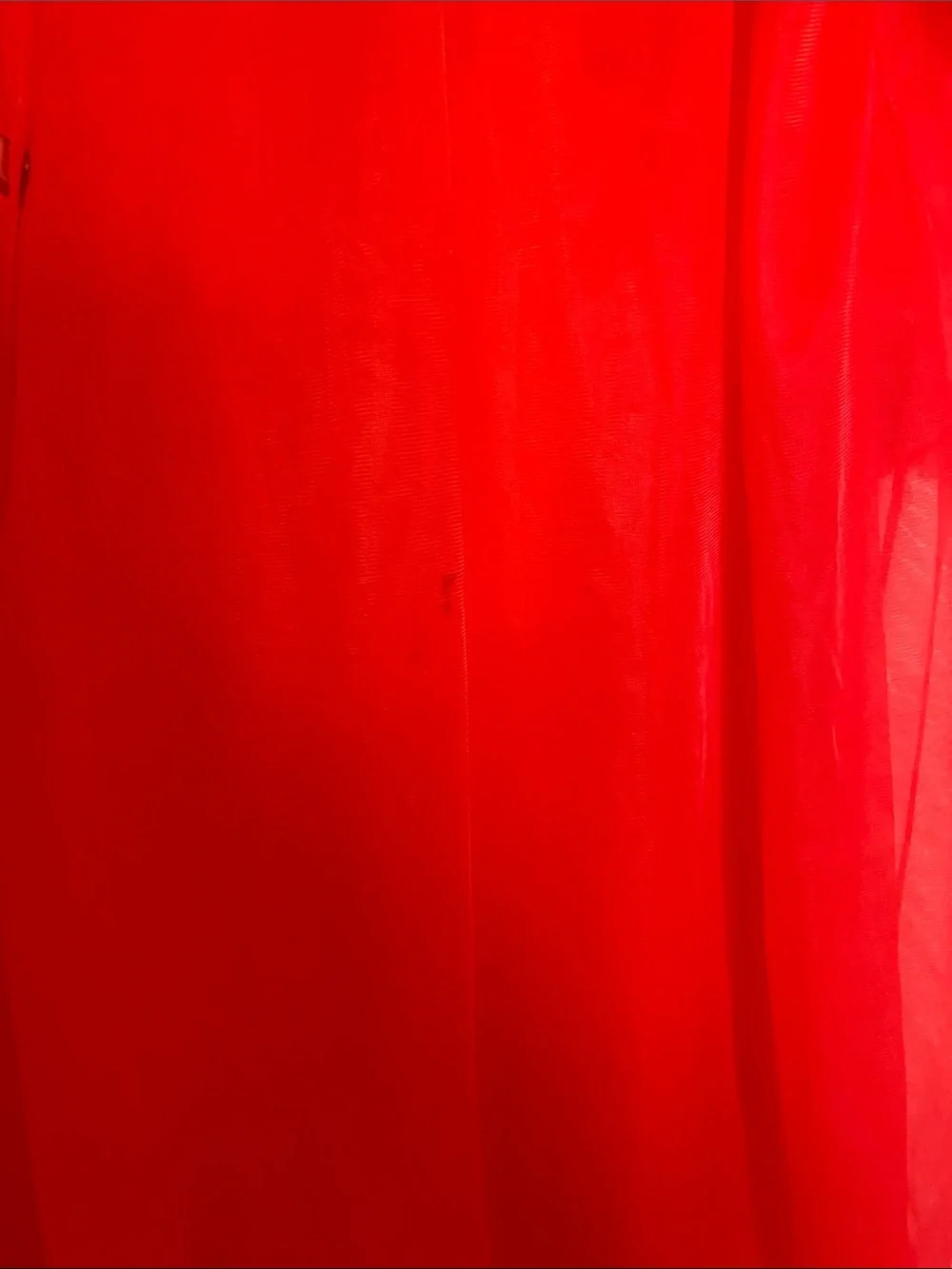 Vintage Red Sheer Bed Jacket with Lace Collar - Picture 4 of 7